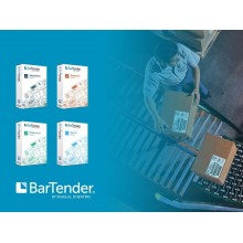 BarTender 2021 Professional, 2 printers